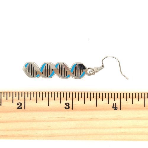 DNA Earrings with ruler