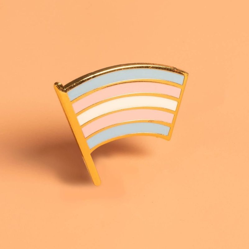 Trans Pride Flag Pin cropped