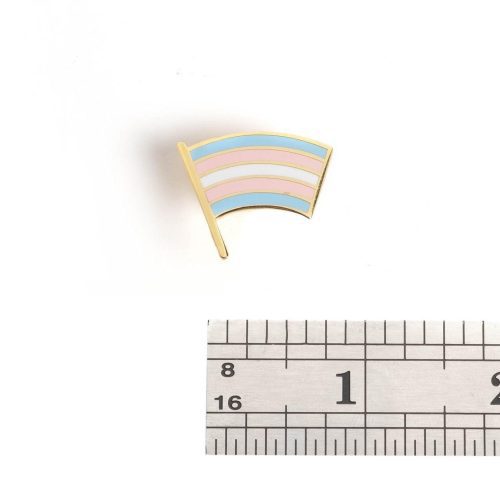 Trans Pride Flag pin with ruler