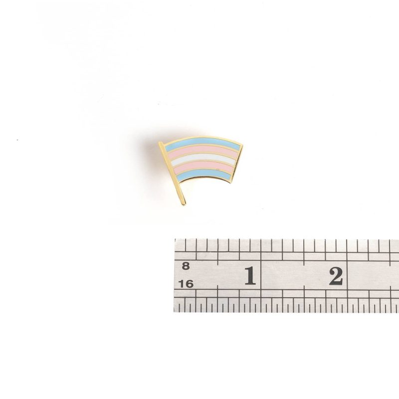 Trans Pride Flag pin with ruler bb5b17c2 9dd5 427e bbc5 49497ee142da