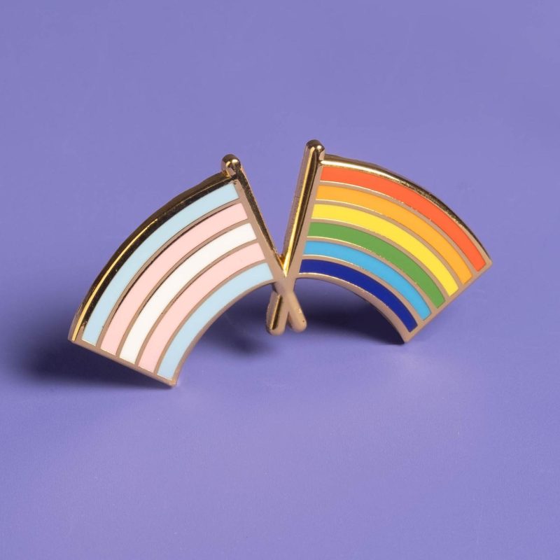 Trans and LGBTQ Pride Flag pins