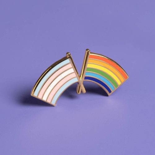 TransandLGBTQ PrideFlagpin