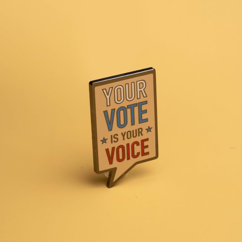 Yourvoiceisyourvotepinoncolor